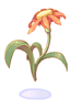 花物品圖片
