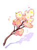華麗櫻花樹枝物品圖片
